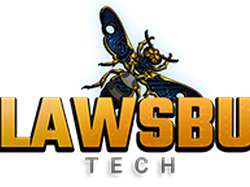 Flaws Bug Tech