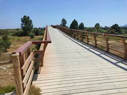 Footbridge in Nature park