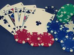 Mi Casino