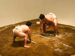 Sumo Wrestling: Japan’s National Sport with Cultural Roots