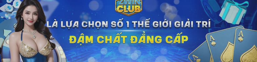 ZWIN CLUB's cover image