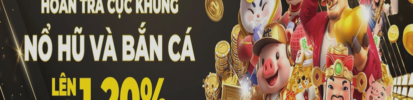 Betvisa's cover image