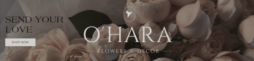 ZurichBlooms's cover image