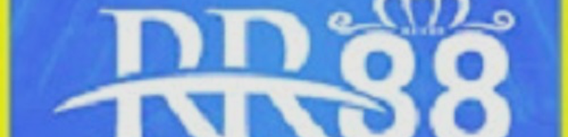 RR88 NAVY's cover image