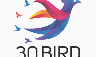 30 Bird Media