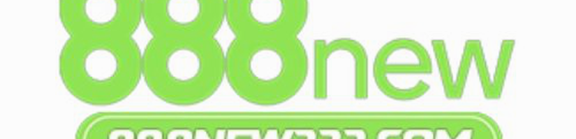 888new333com's cover image
