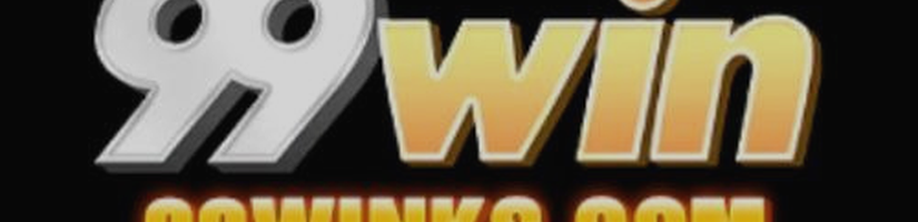 99winkscom's cover image