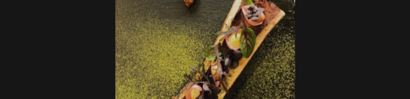 Chef Justin Snyder's cover image