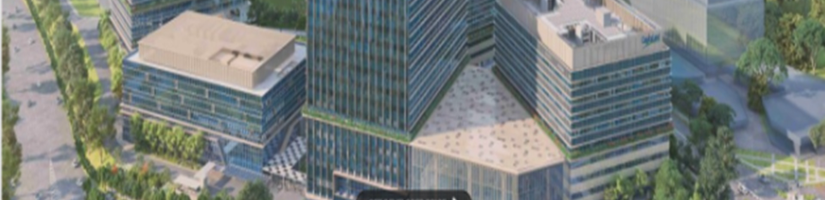 Lynden Woods's cover image