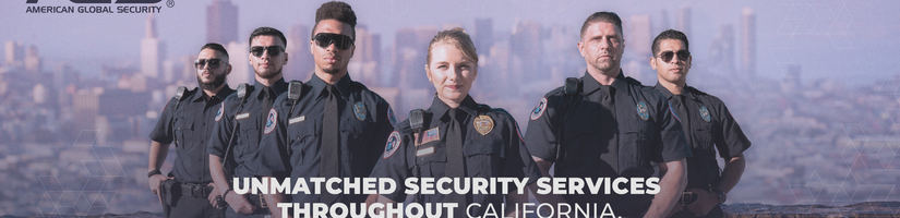 Private Security Services's cover image