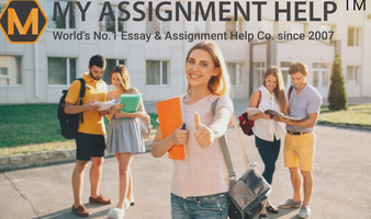 plagiarism free essay writing