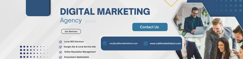 California Infotech's cover image