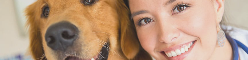 Modern Vet in Dubai event's cover image