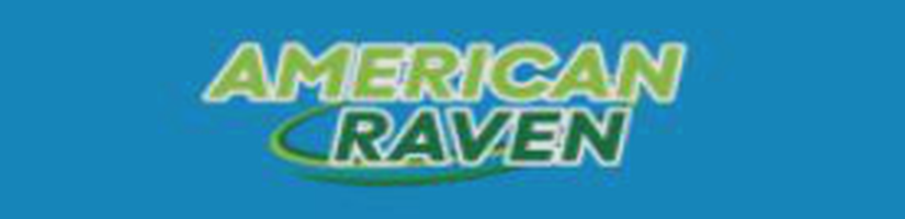 American Raven's cover image