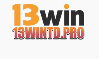 13wintdpro