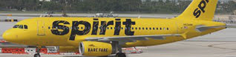 Spirit Airlines Name Change Policy's cover image