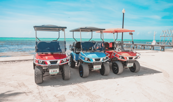 Golf Cart Rental Service