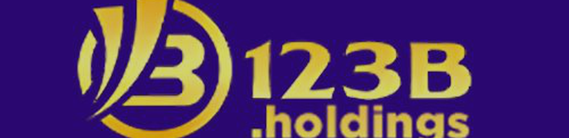 123B Holdings's cover image