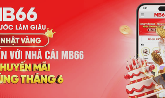 MB6699 Net