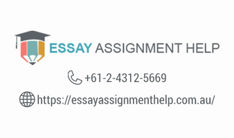 essay assignment help