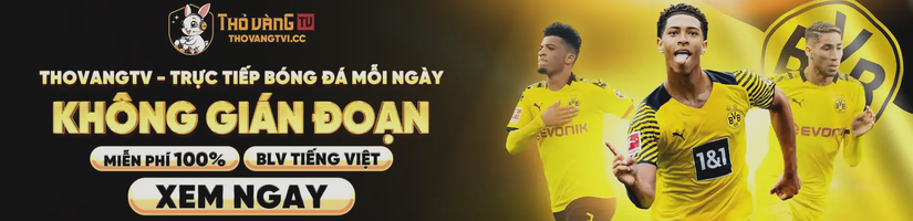 Thovangtvi Cc's cover image